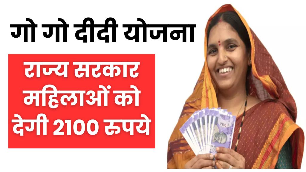 Gogo Didi Yojana